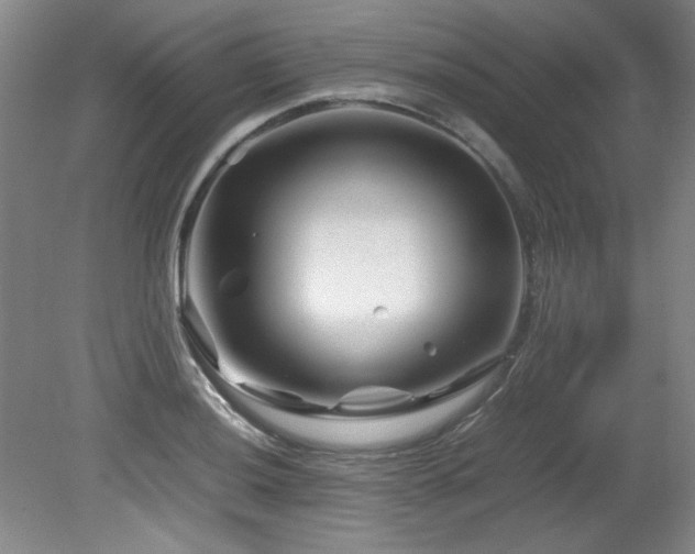 X0000082171036200701191302