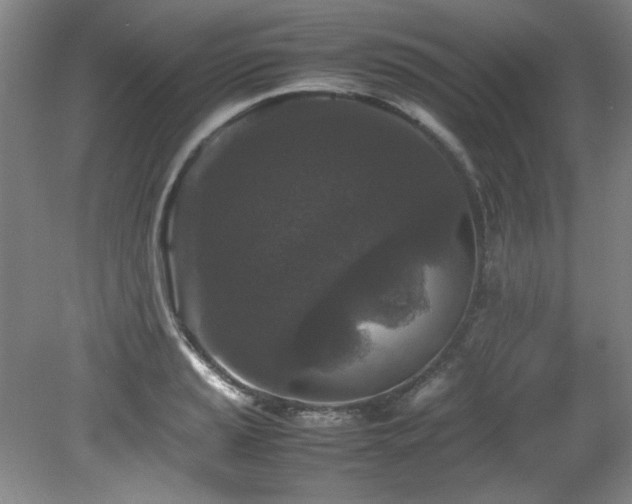 X0000082171037200701191302