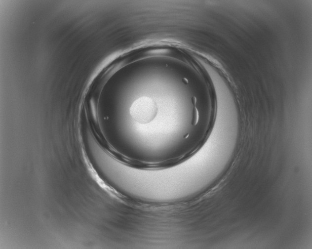 X0000082171038200701191302