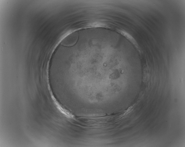 X0000082171039200701191302