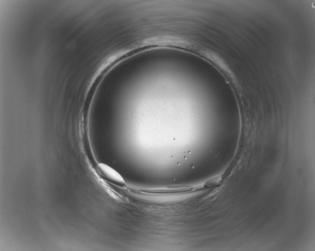 X0000082171040200701191302