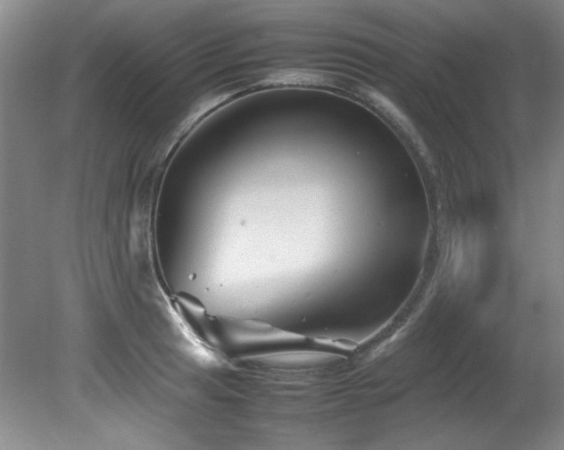 X0000082171041200701191302