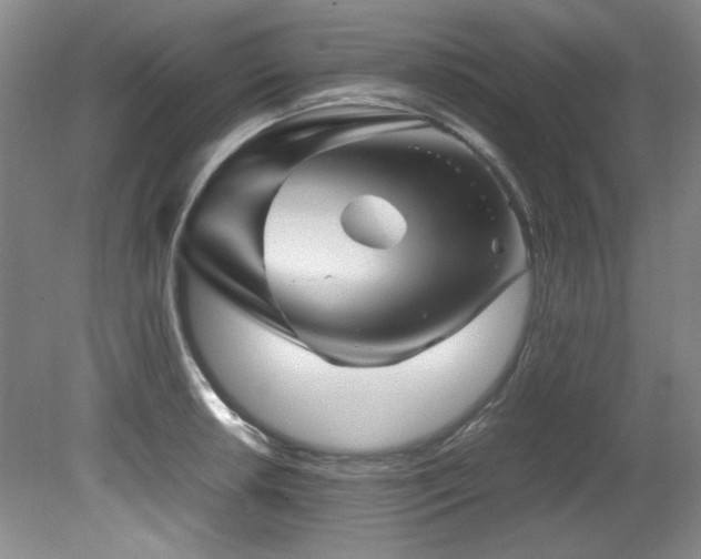 X0000082171042200701191302