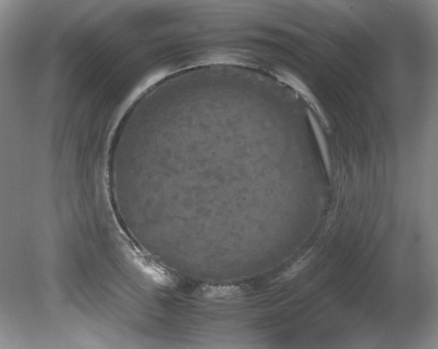 X0000082171043200701191302