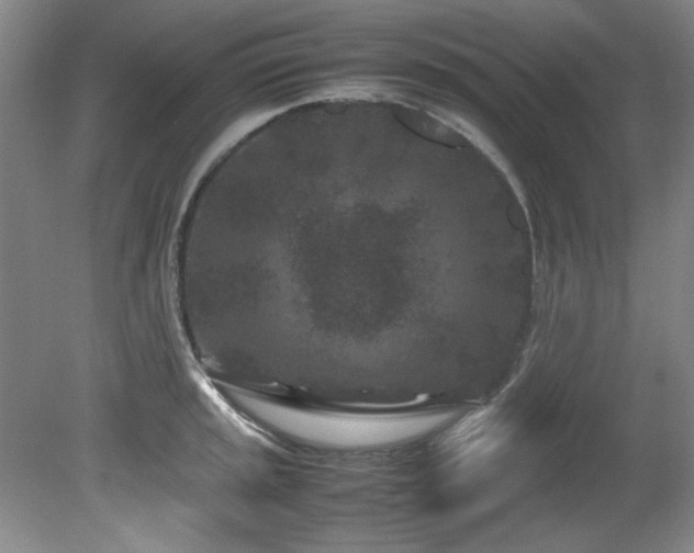 X0000082171045200701191302