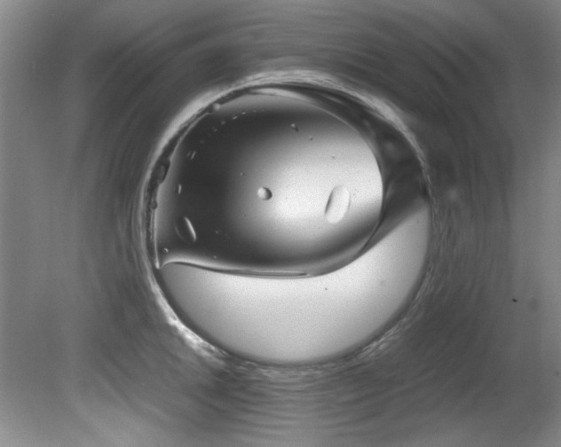 X0000082171046200701191302