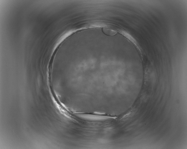 X0000082171047200701191302