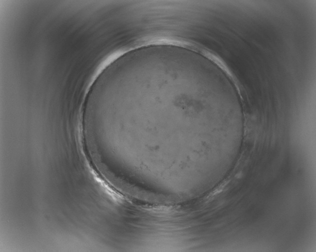 X0000082171048200701191302