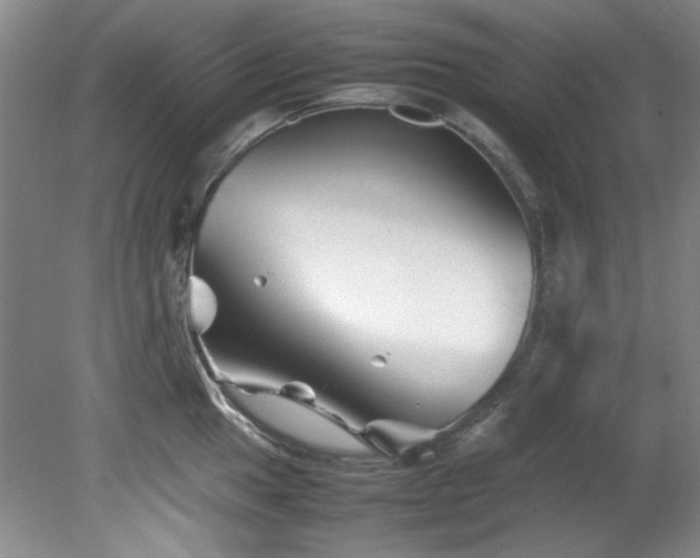 X0000082171049200701191302