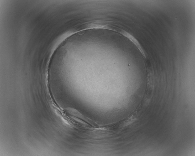 X0000082171051200701191302