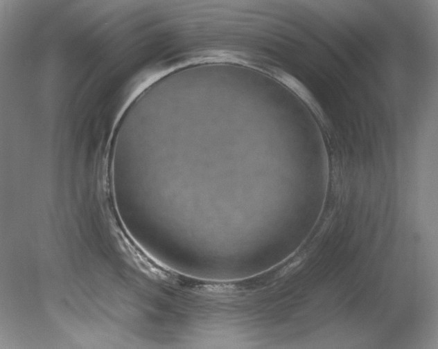 X0000082171052200701191302