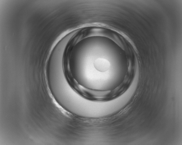 X0000082171054200701191302