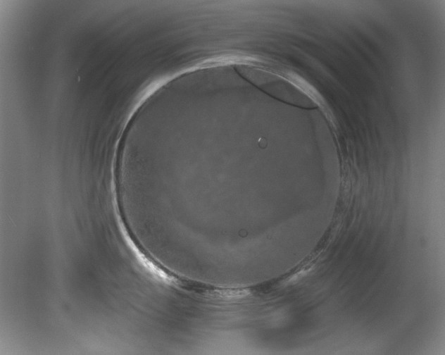 X0000082171055200701191302