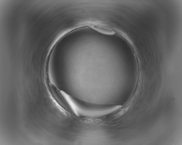 X0000082171056200701191302