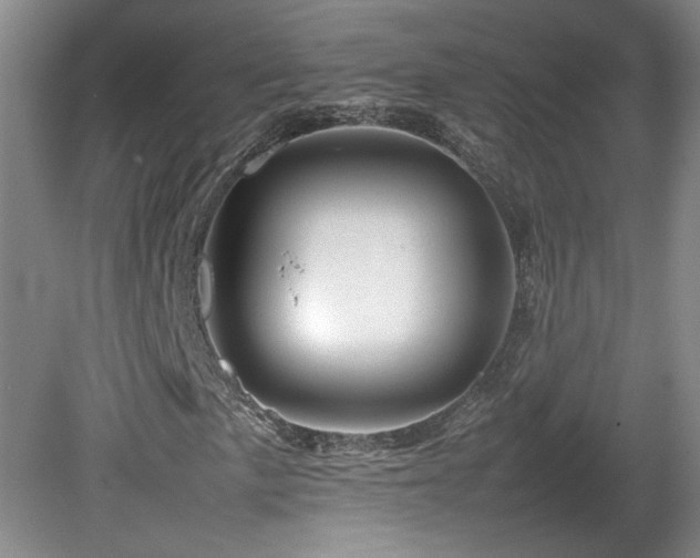 X0000082171057200701191302