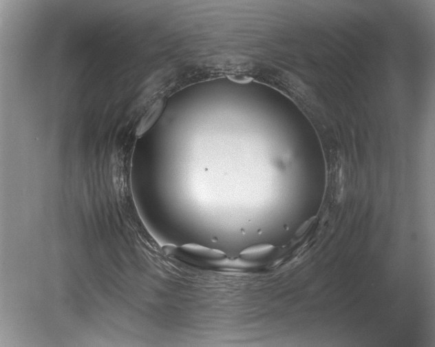 X0000082171058200701191302