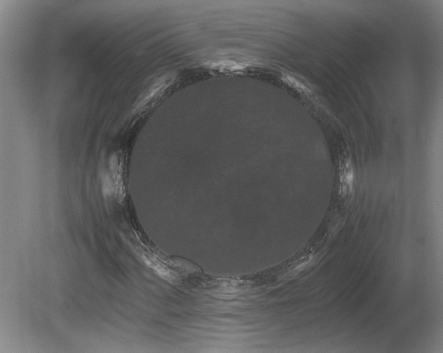 X0000082171060200701191302