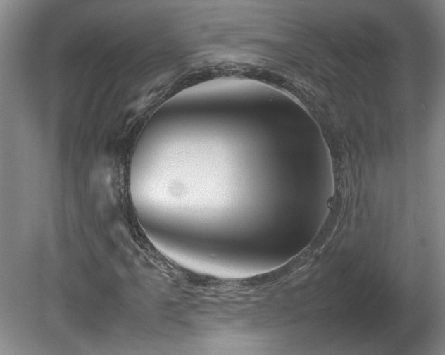 X0000082171061200701191302