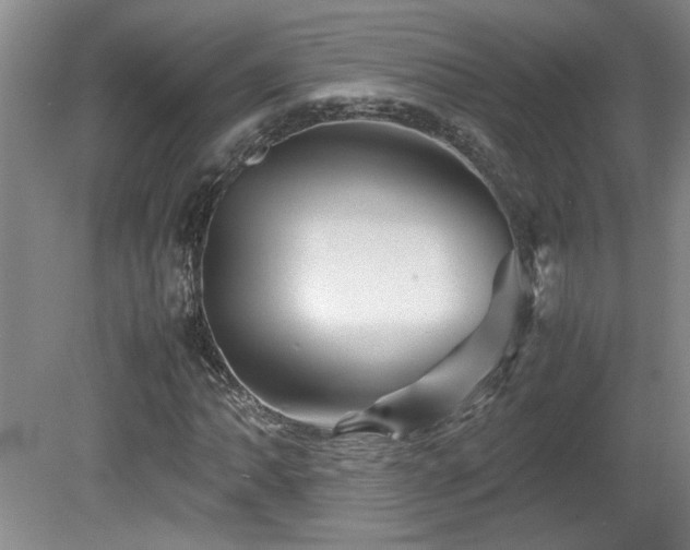 X0000082171062200701191301