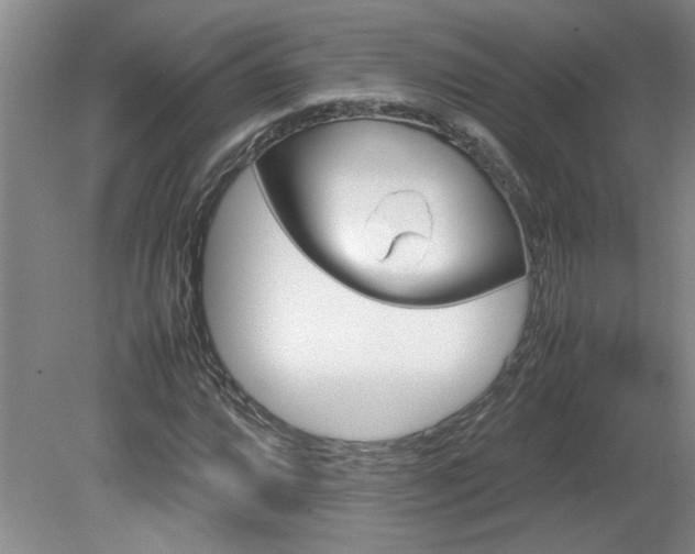 X0000082171064200701191301