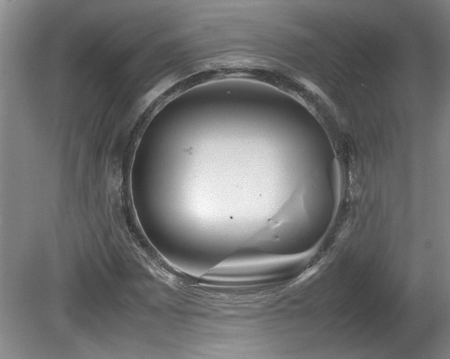 X0000082171065200701191301