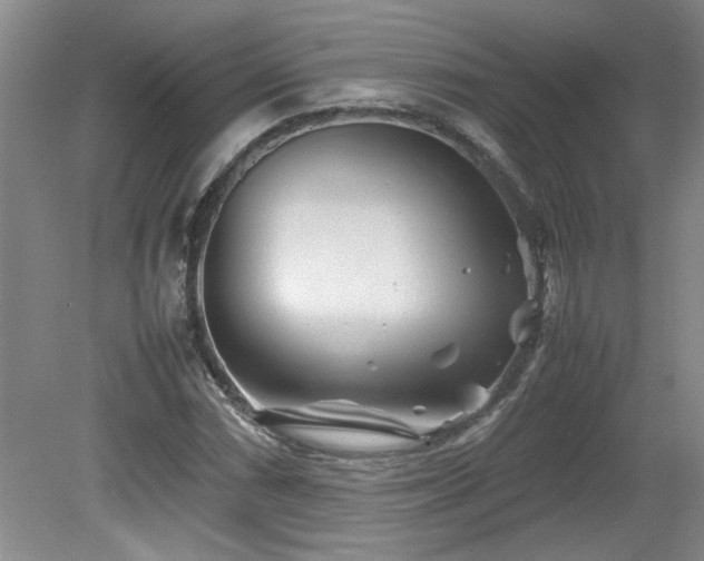 X0000082171066200701191301