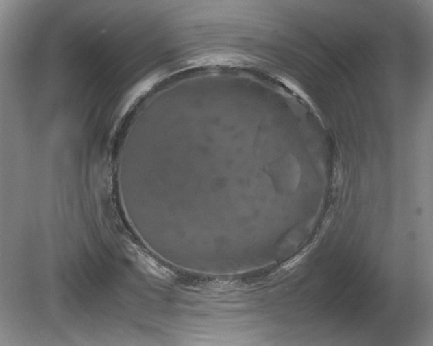 X0000082171067200701191301