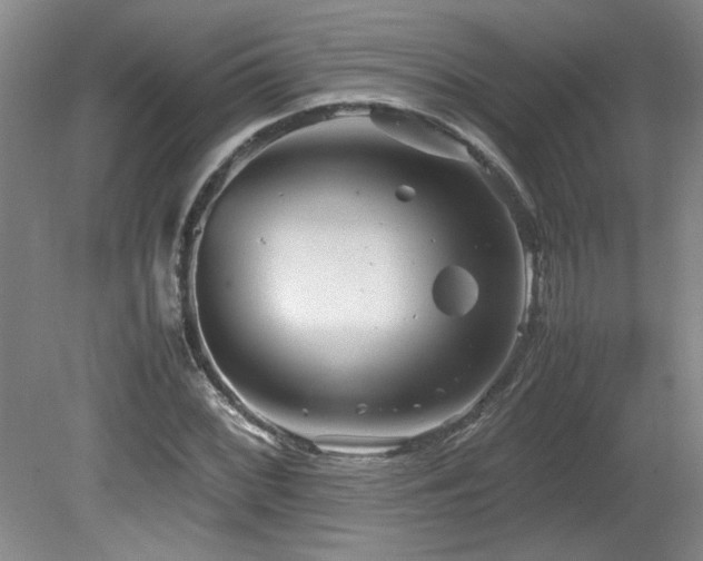 X0000082171068200701191301