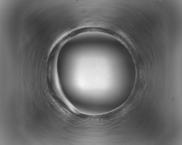 X0000082171069200701191301