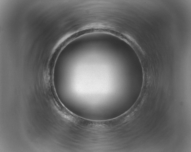 X0000082171070200701191301