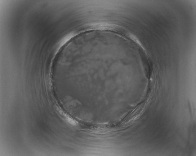 X0000082171071200701191301