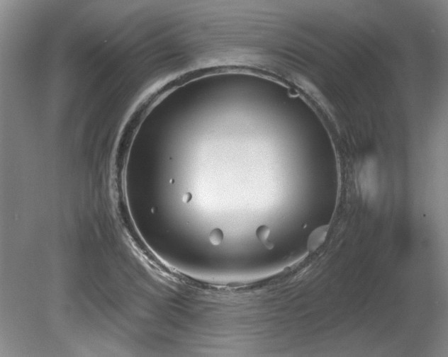 X0000082171072200701191301