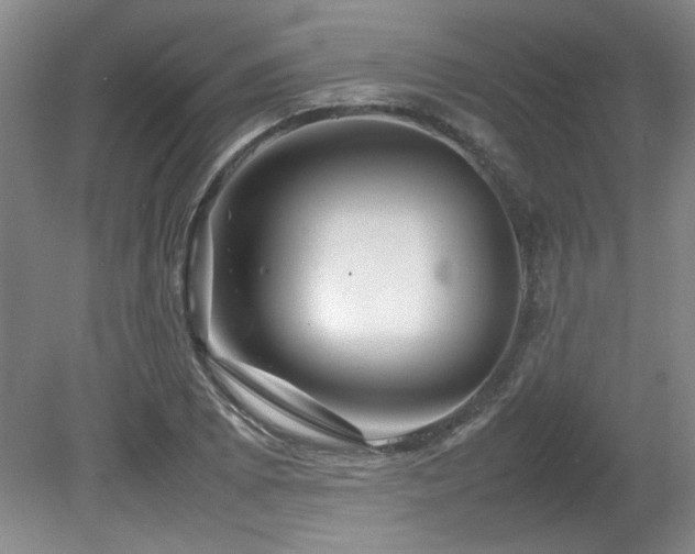 X0000082171073200701191301