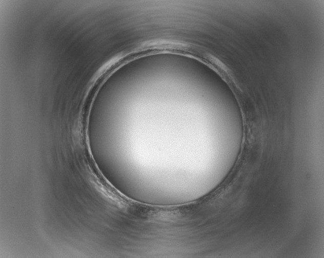 X0000082171074200701191301