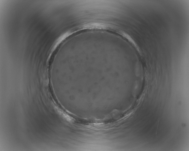 X0000082171075200701191301