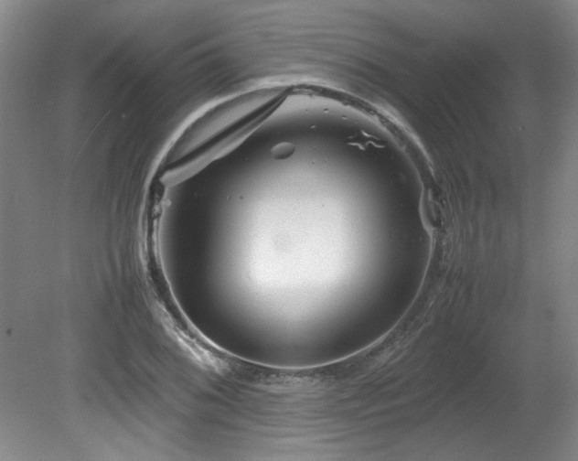 X0000082171076200701191301