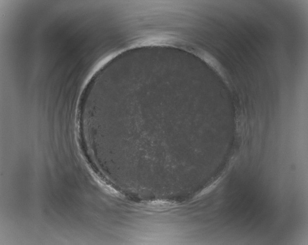 X0000082171077200701191301