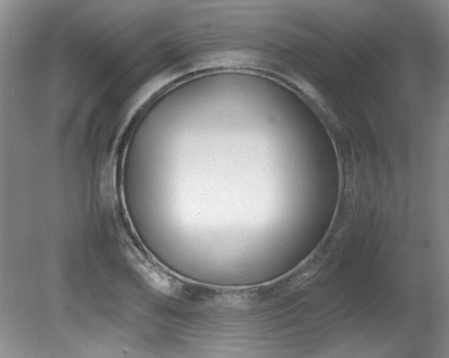 X0000082171078200701191301