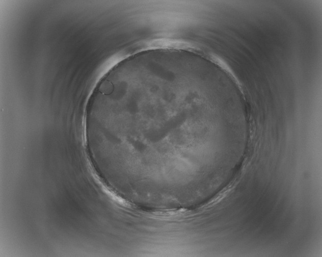 X0000082171079200701191301