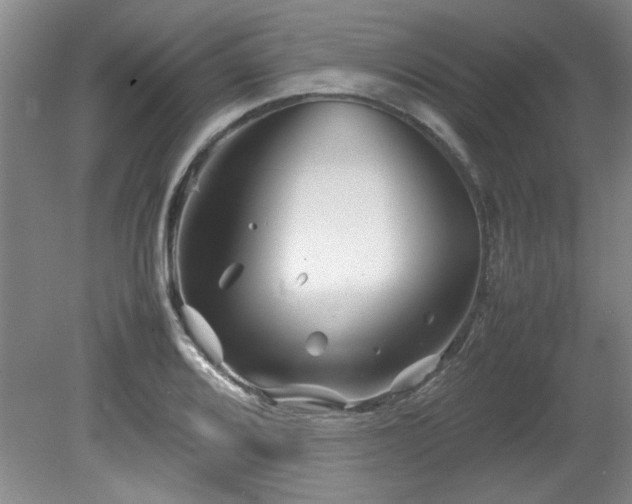 X0000082171080200701191301