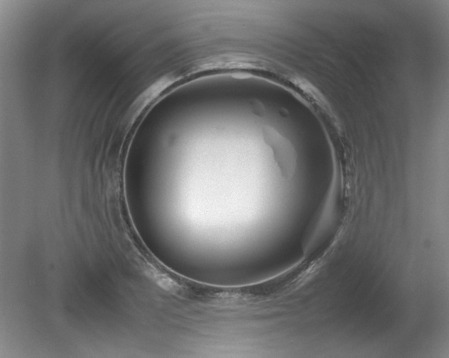 X0000082171081200701191301