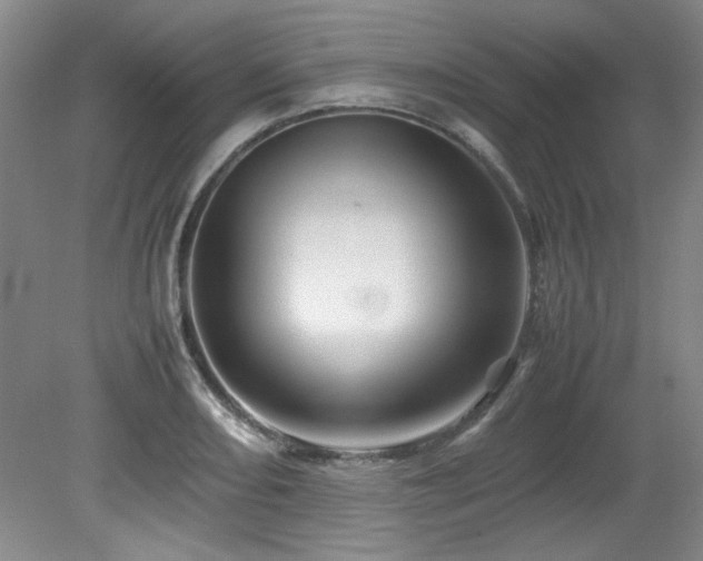 X0000082171082200701191301