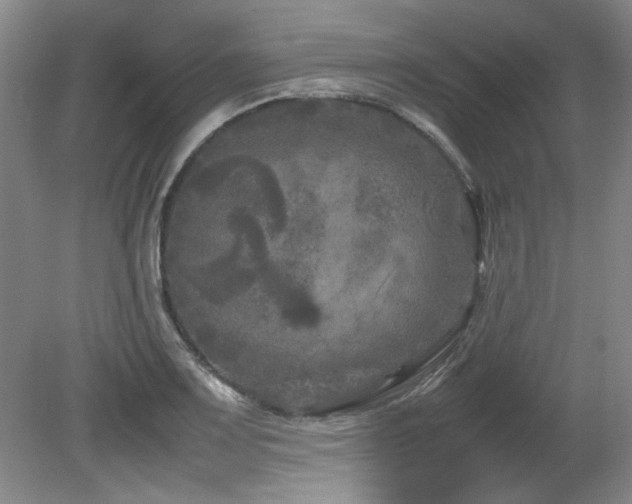 X0000082171083200701191301