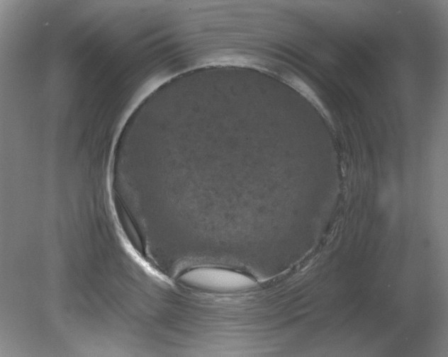 X0000082171084200701191301