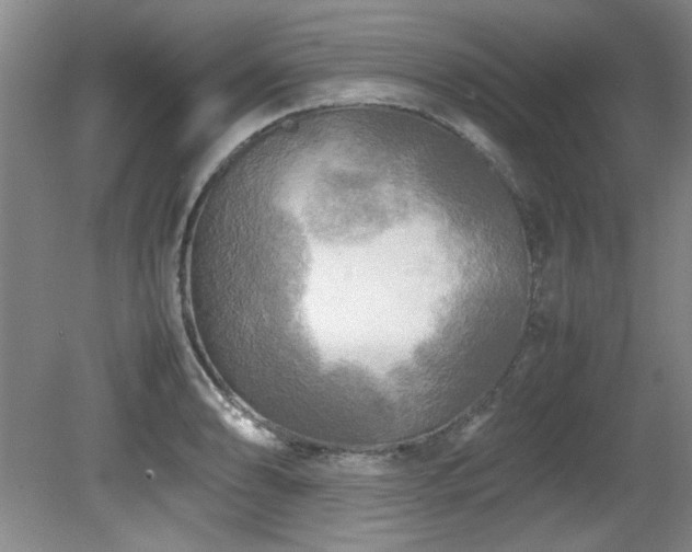 X0000082171086200701191301