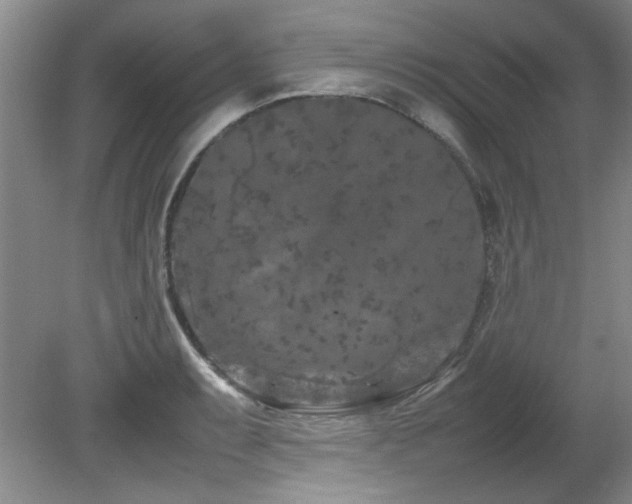 X0000082171087200701191301