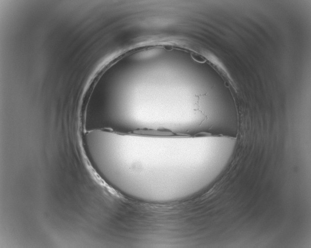 X0000082171088200701191301