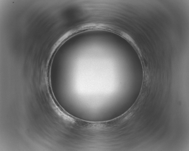 X0000082171090200701191301