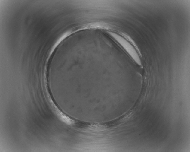 X0000082171091200701191301