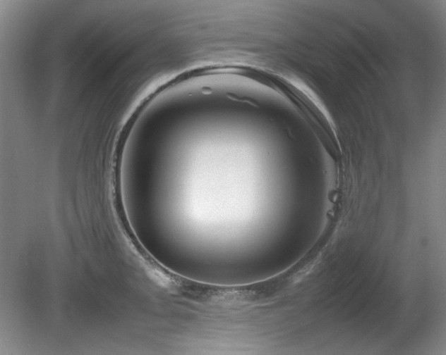 X0000082171093200701191301